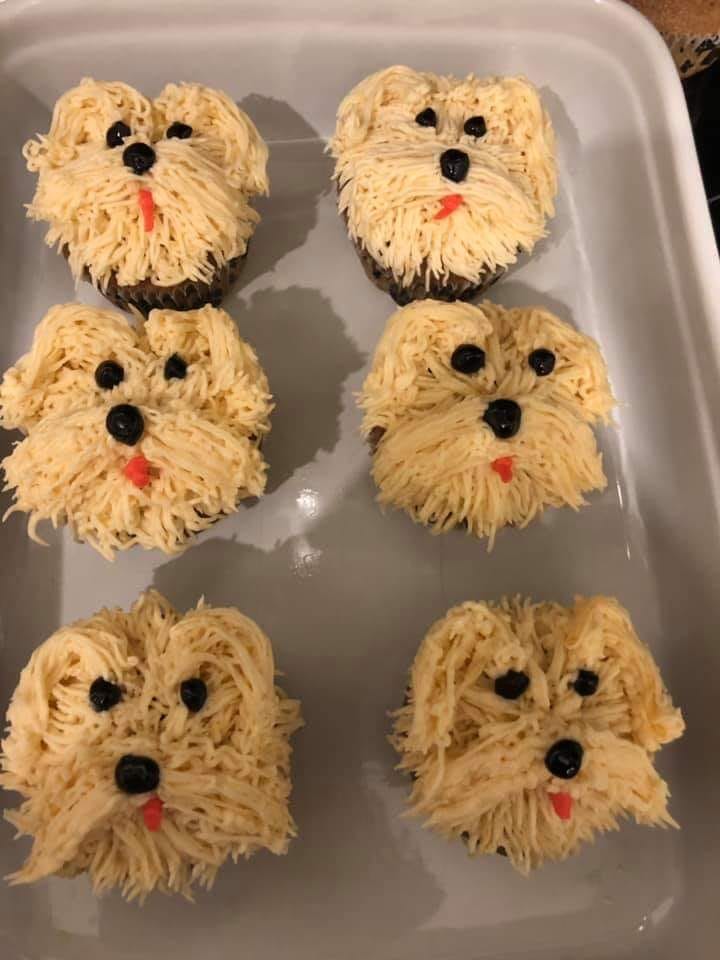 Goldendoodle cupcakes outlet