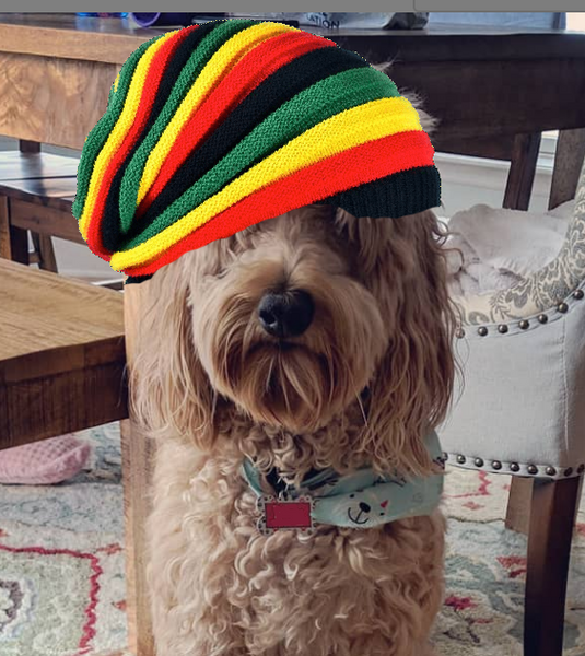 Are CBD oil Dog treats good for your Doodle ?