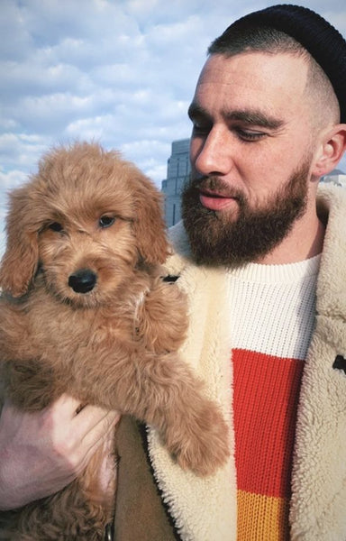 Does Travis Kelce have a Goldendoodle?