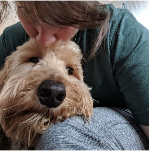 Top 10 signs that you're an awesome Doodle Mom