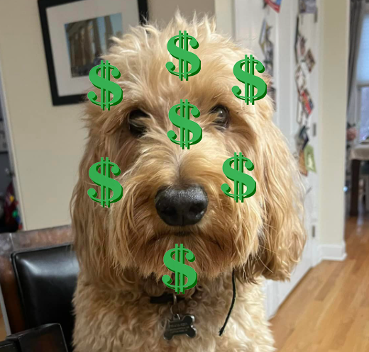 Unveiling the True Cost of Doodle Dogs: A Lifetime Financial Commitment