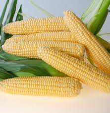 The Best Sweet Corn in the Utica New Hartford NY area. One clear winner!