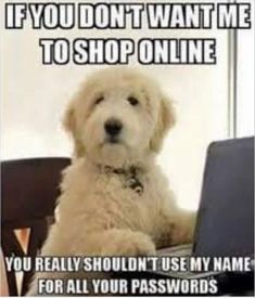 Funny Goldendoodle and Labradoodle Dog Memes